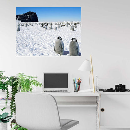 Antarctica Penguins Cute Snow Nature Wall Art Print Poster