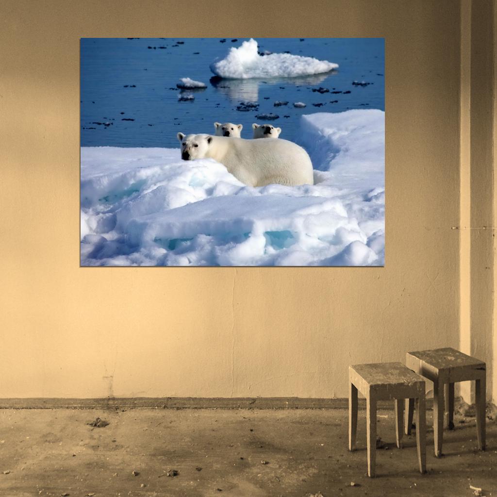 Polar Bears Arctic Cute Funny Nature Wall Art Print Poster
