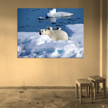 Polar Bears Arctic Cute Funny Nature Wall Art Print Poster