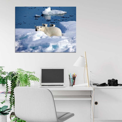 Polar Bears Arctic Cute Funny Nature Wall Art Print Poster