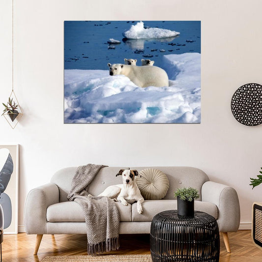 Polar Bears Arctic Cute Funny Nature Wall Art Print Poster
