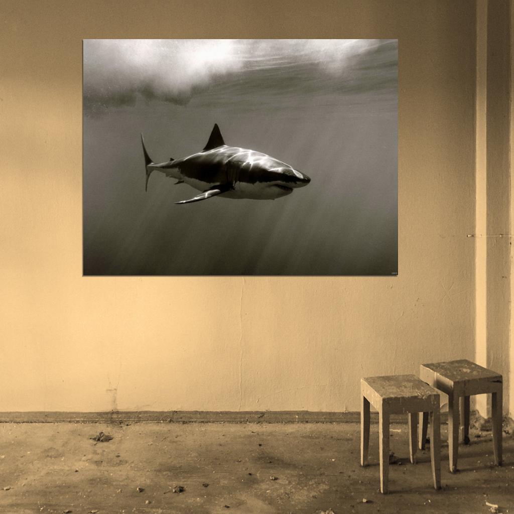 Carcaradon Shark Sepia Nature Wall Art Print Poster