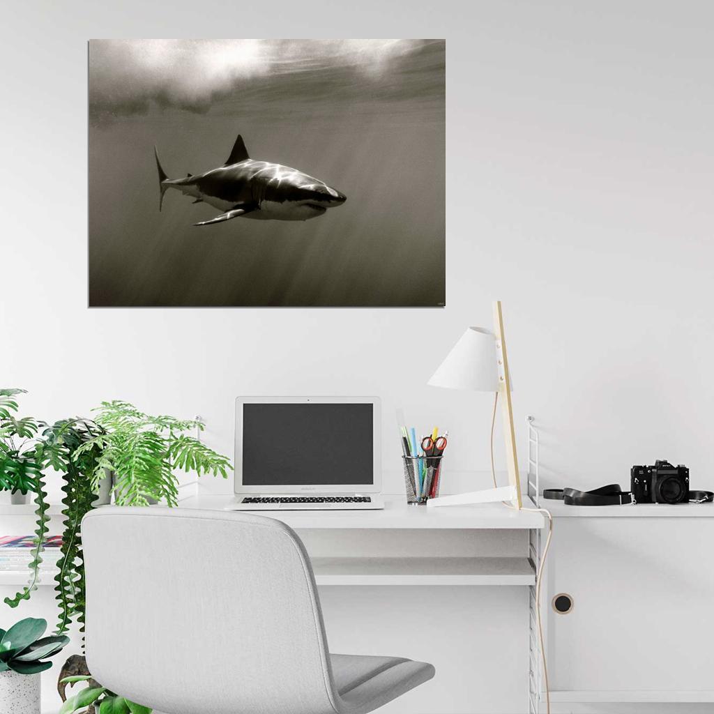 Carcaradon Shark Sepia Nature Wall Art Print Poster
