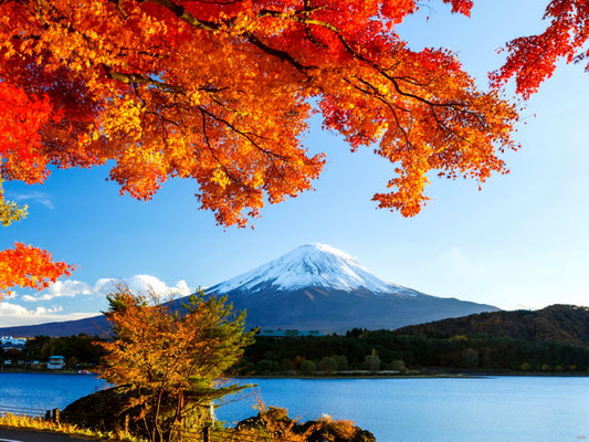 Mount Fuji Japan Autumn Fall Beautiful Nature Wall Decor Room Print Poster
