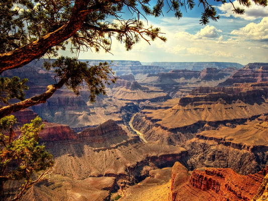 Grand Canyon Colorado View Beautiful Nature Wall Decor Room Print Poster