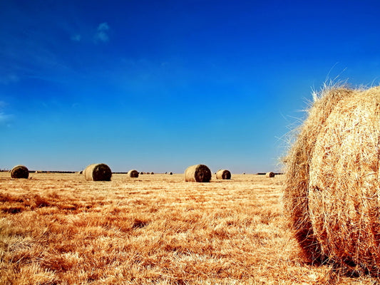 Round Straw Bales Blue Sky Beautiful Nature Wall Decor Room Print Poster