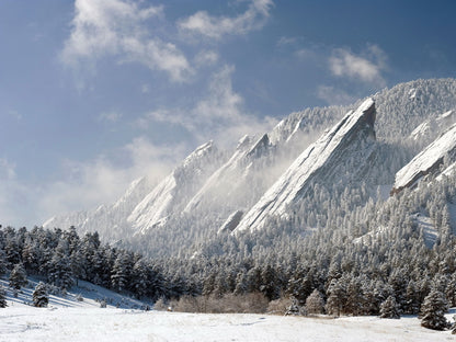 Snow Mountains Winter Cliffs Forest Beautiful Wall Decor Room Print Poster
