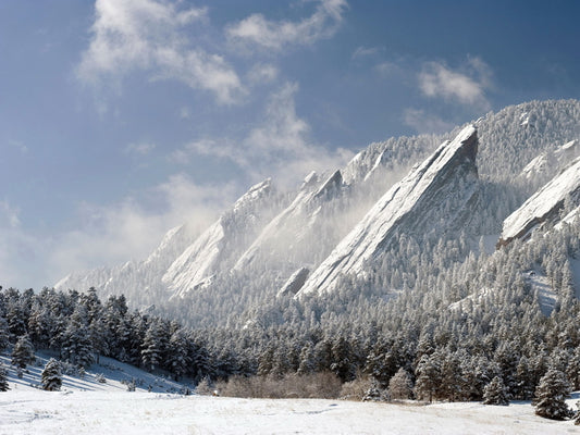 Snow Mountains Winter Cliffs Forest Beautiful Wall Decor Room Print Poster