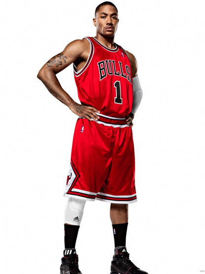 Derrick Rose Portrait Basketball Wall Art Print Poster