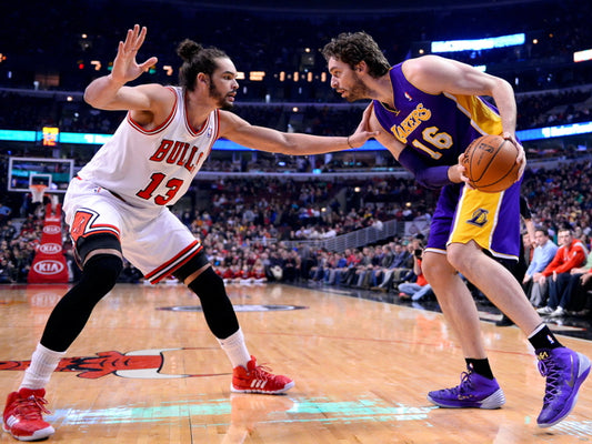 Joakim Noah Pau Gasol Basketball Sport Wall Art Print Poster