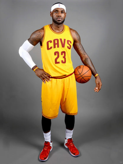 LeBron James 2015 Sport Wall Art Print Poster