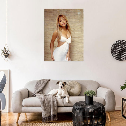 Christina Milian Sexy Actress Music Singer Wall Art Print Poster