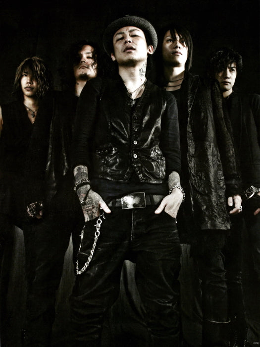 Dir En Grey Japanese Metal Band Group Music Wall Art Print Poster