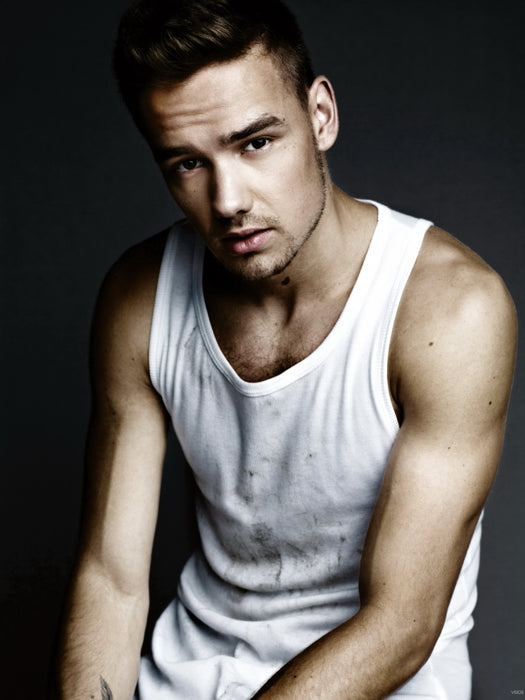 Liam Payne Sexy Portrait Hot Music Singer Wall Art Print Poster