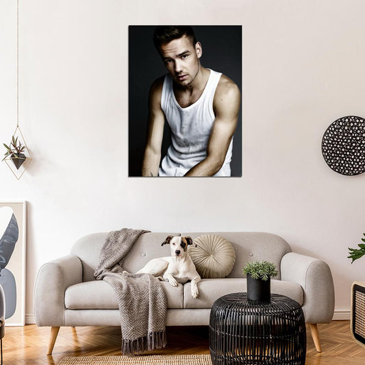 Liam Payne Sexy Portrait Hot Music Singer Wall Art Print Poster