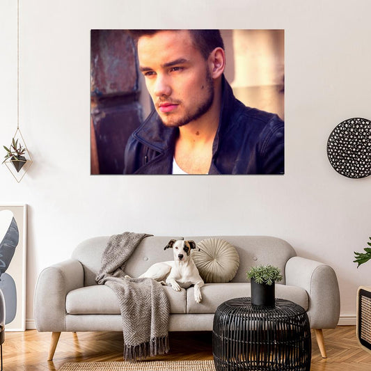 Liam Payne Cute Portrait Hot Music Singer Wall Art Print Poster