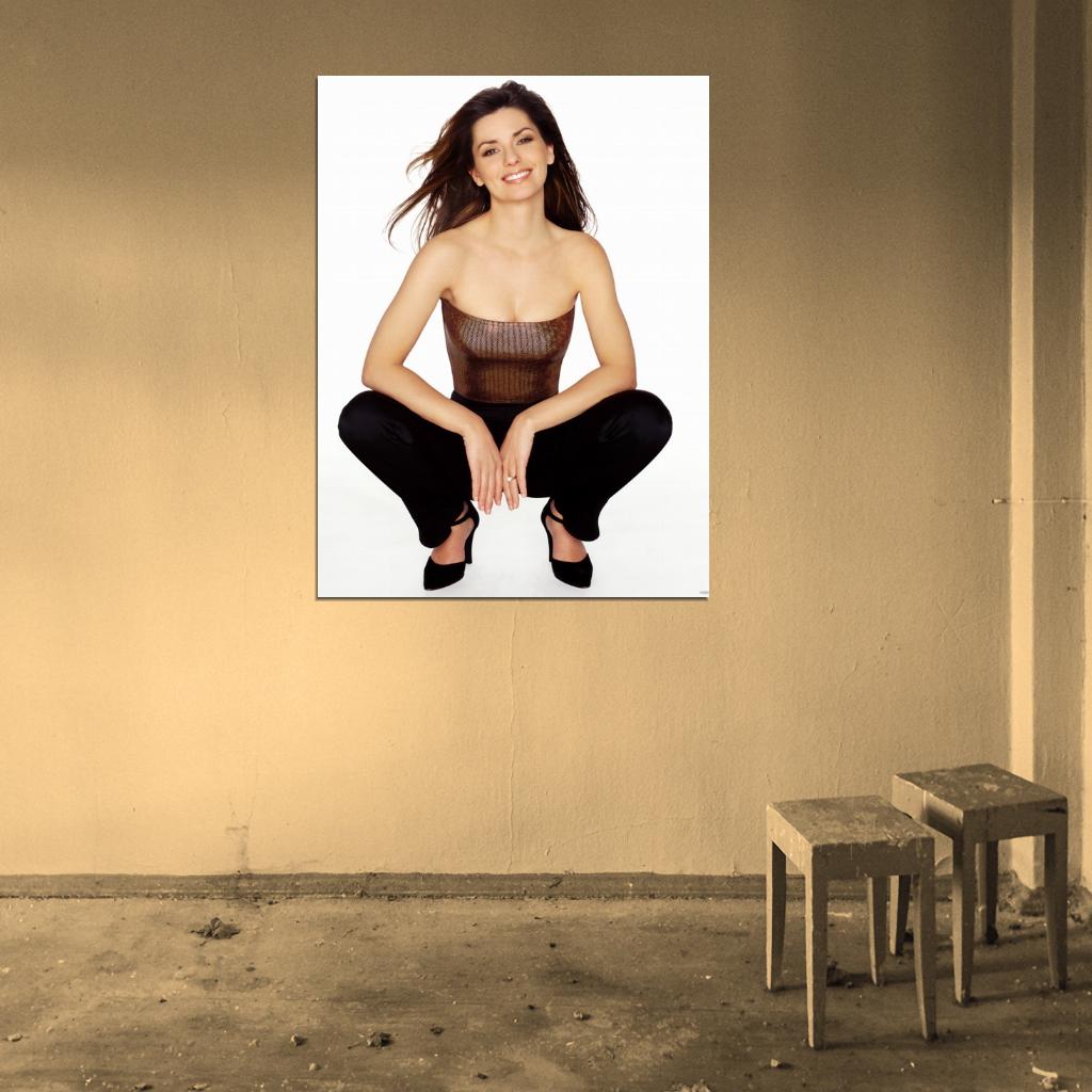 Shania Twain Country Hot Music Singer Wall Art Print Poster