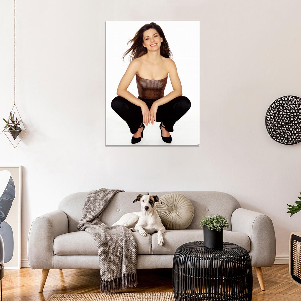 Shania Twain Country Hot Music Singer Wall Art Print Poster