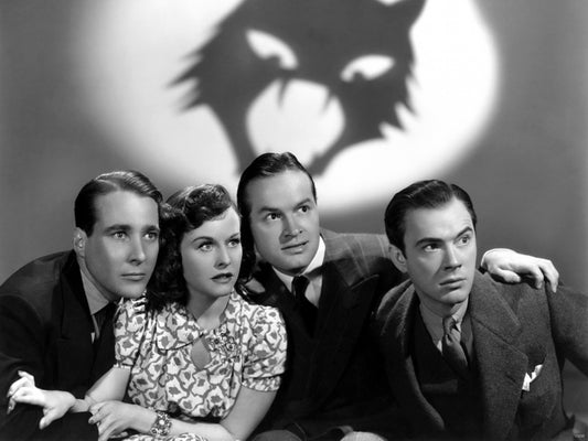 The Cat And The Canary 1927 Retro Movie BW Wall Art Print Poster