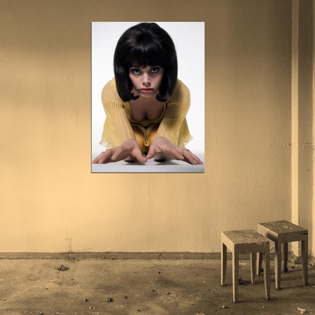 Britt Ekland Hot Old Retro Vintage Actress Wall Art Print Poster