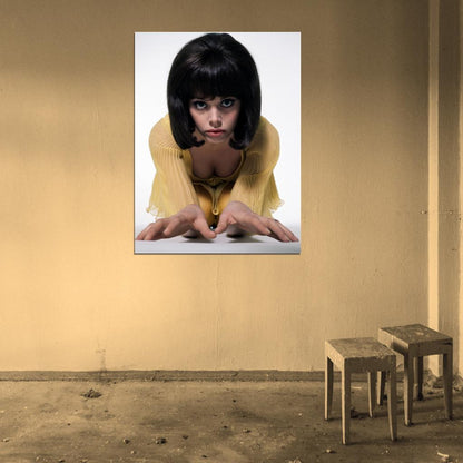 Britt Ekland Hot Old Retro Vintage Actress Wall Art Print Poster