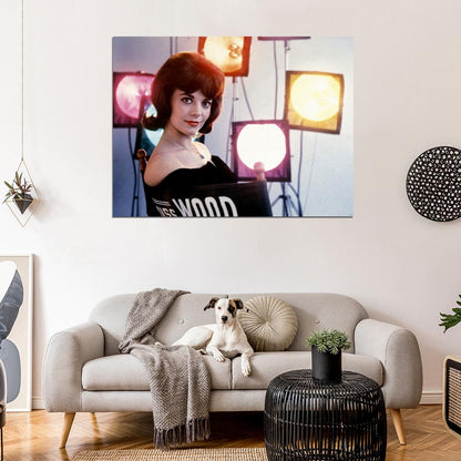 Natalie Wood Portrait Retro Vintage Actress Wall Art Print Poster