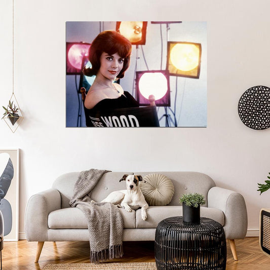 Natalie Wood Portrait Retro Vintage Actress Wall Art Print Poster