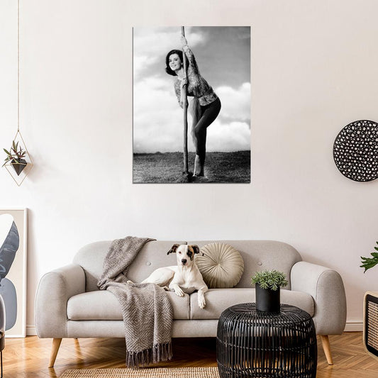 Natalie Wood Old Retro Vintage Actress BW Wall Art Print Poster
