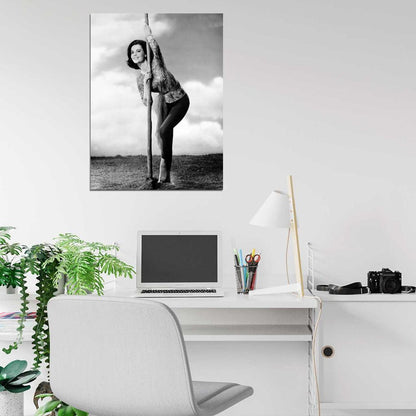 Natalie Wood Old Retro Vintage Actress BW Wall Art Print Poster