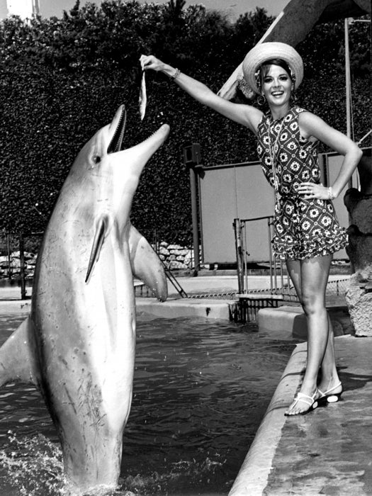 Natalie Wood Cute Dolphin Old Retro Vintage BW Wall Art Print Poster