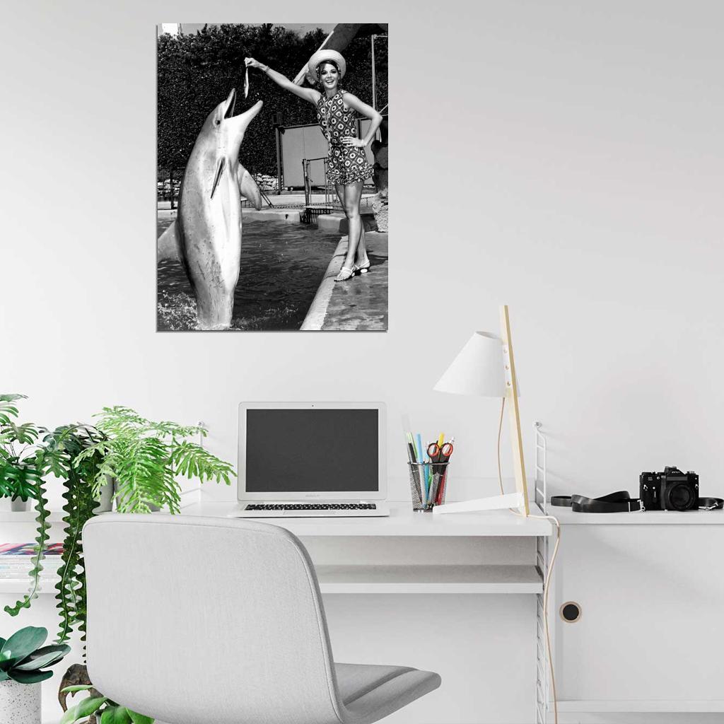 Natalie Wood Cute Dolphin Old Retro Vintage BW Wall Art Print Poster