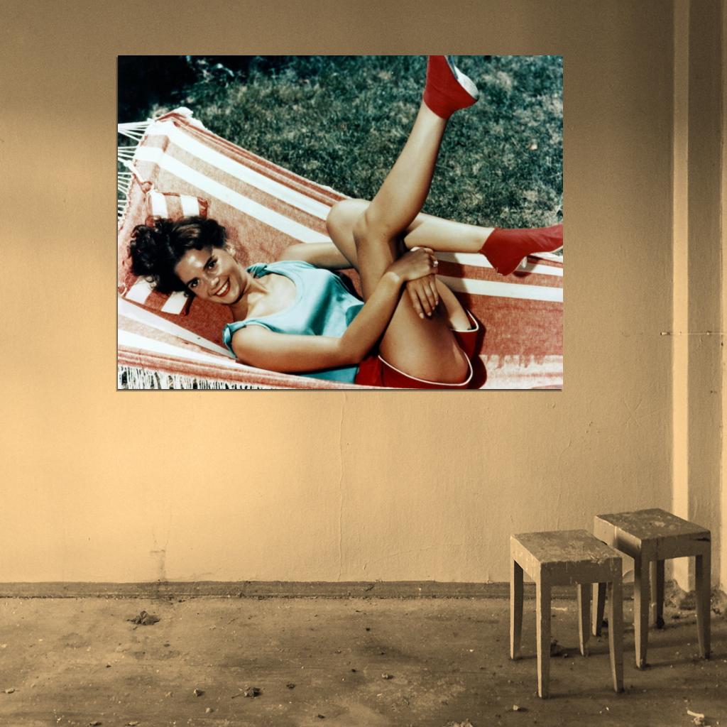 Natalie Wood Smile Hot Retro Vintage Actress Wall Art Print Poster