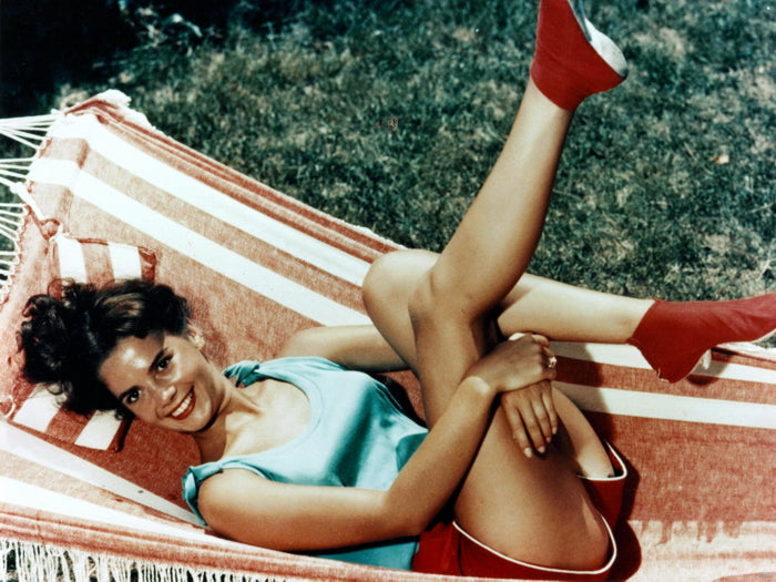 Natalie Wood Smile Hot Retro Vintage Actress Wall Art Print Poster