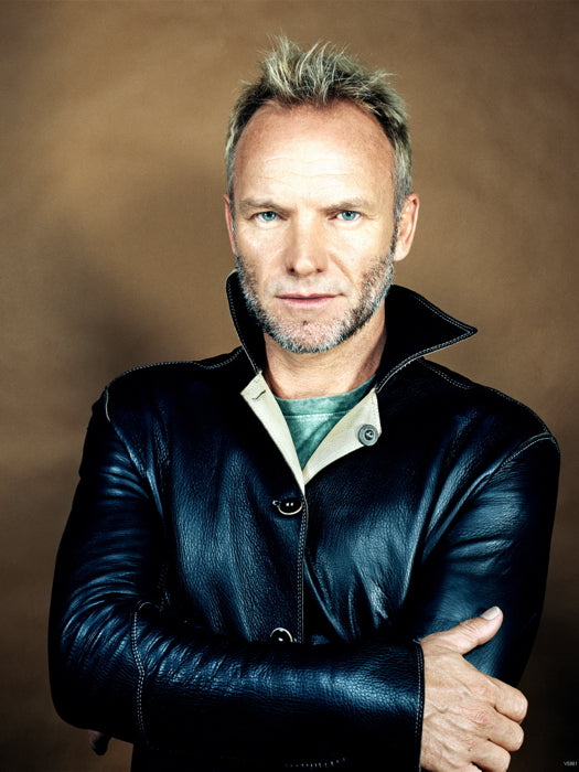 Sting Awesome Music Singer Vintage Wall Art Print Poster
