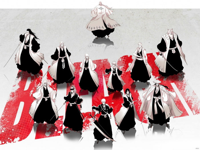 Bleach Characters Amazing Anime Manga Art Wall Art Print Poster