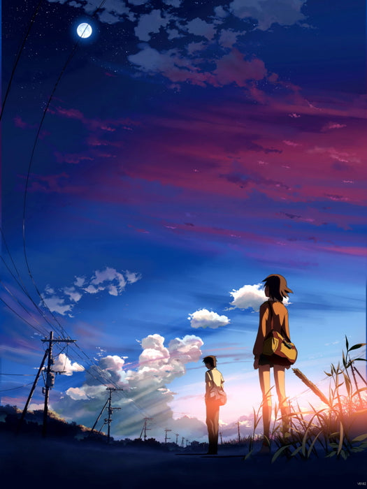 5 Centimeters Per Second Beautiful Amazing Anime Manga Art Wall Art Print Poster