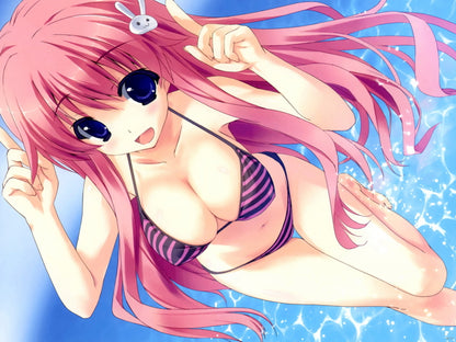 Baka and Test Hot Girl Big Boobs Bikini Baka to Test to Shoukanjuu Anime Manga Art Wall Art Print Poster