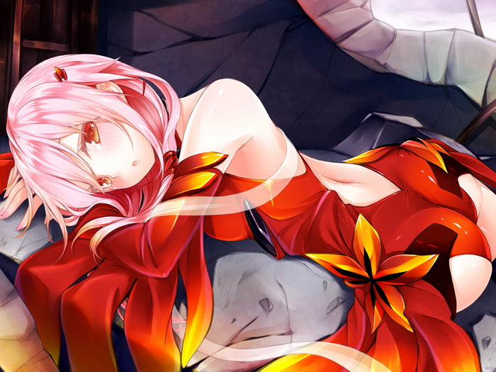 Guilty Crown Inori Yuzuriha Hot Butt Beautiful Girl Anime Manga Art Wall Art Print Poster