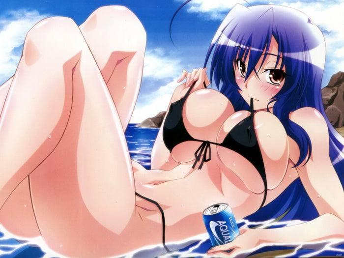 Medaka Kurokami Medaka Box Hot Busty Girl Big Boobs Anime Manga Art Wall Art Print Poster