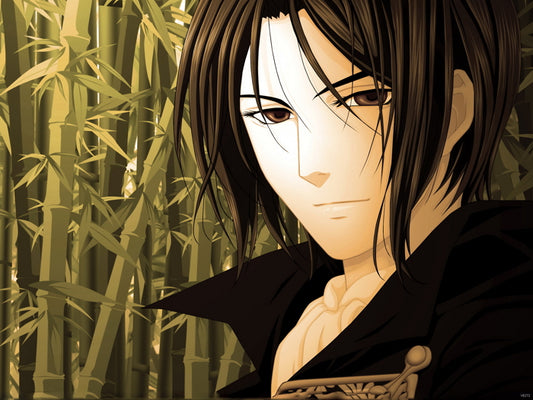 Toshizo Hijikata Hakuouki Shinsengumi Kitan Anime Manga Art Wall Art Print Poster