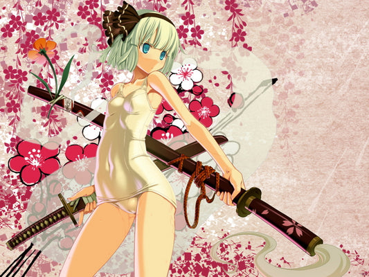 Youmu Konpaku Touhou Project Beautiful Hot Wet Girl Underwear Anime Manga Art Wall Art Print Poster