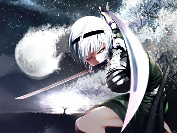 Youmu Konpaku Touhou Project Beautiful Girl Katana Awesome Anime Manga Art Wall Art Print Poster