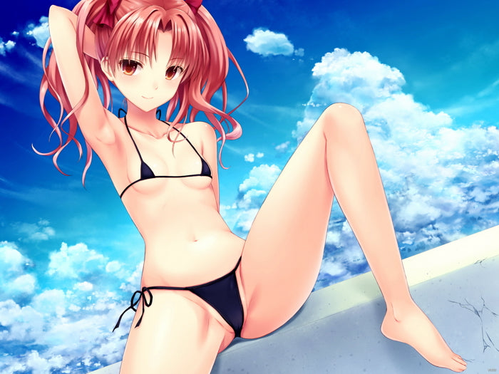 Hot Cute Girl Small Breasts Tiny Bikini Anime Manga Art Wall Art Print Poster