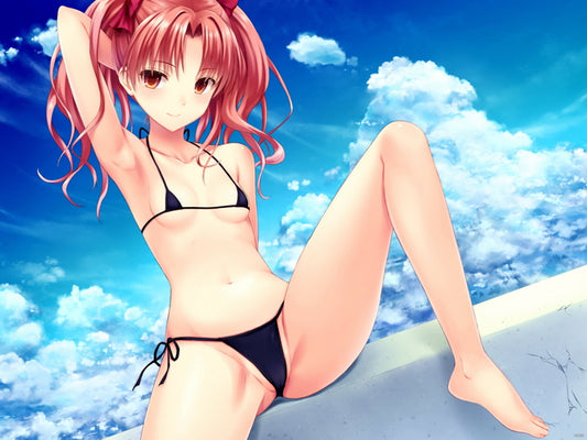 Hot Cute Girl Small Breasts Tiny Bikini Anime Manga Art Wall Art Print Poster