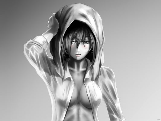 Attack on Titan Mikasa Ackerman Shingeki no Kyojin Hot Boobs Tits Anime Manga Art Wall Art Print Poster
