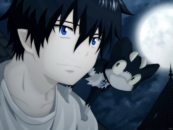 Blue Exorcist Rin Okumura Ao no Exorcist Anime Manga Art Wall Art Print Poster