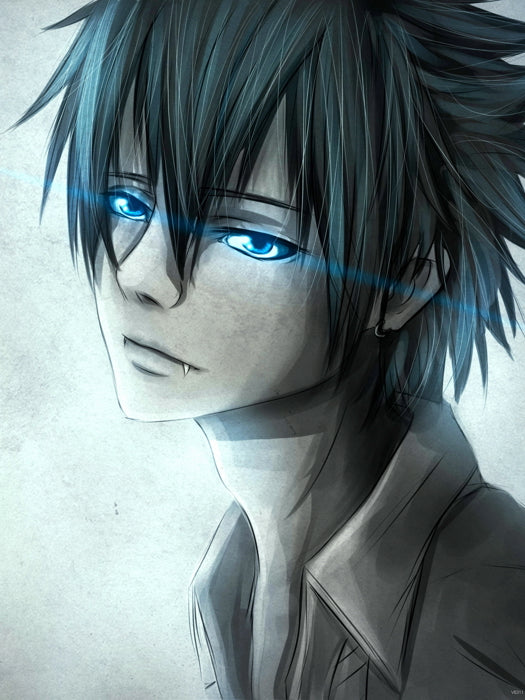 Blue Exorcist Rin Okumura Ao no Exorcist Beautiful Painting Anime Manga Art Wall Art Print Poster