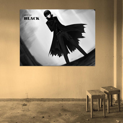 Darker than Black Amazing Anime Manga Art Wall Art Print Poster