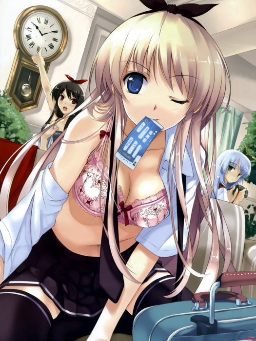 Hot Girl Lingerie Bra Anime Manga Art Wall Art Print Poster
