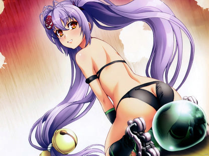 Hyakka Ryouran Samurai Girls Hot Naoe Kanetsugu Anime Manga Art Wall Art Print Poster